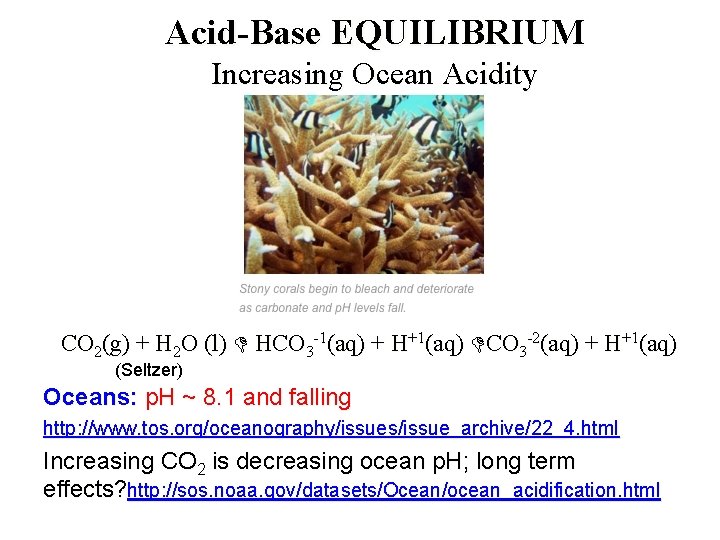 Acid-Base EQUILIBRIUM Increasing Ocean Acidity CO 2(g) + H 2 O (l) HCO 3