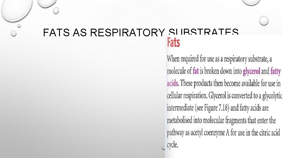 FATS AS RESPIRATORY SUBSTRATES 