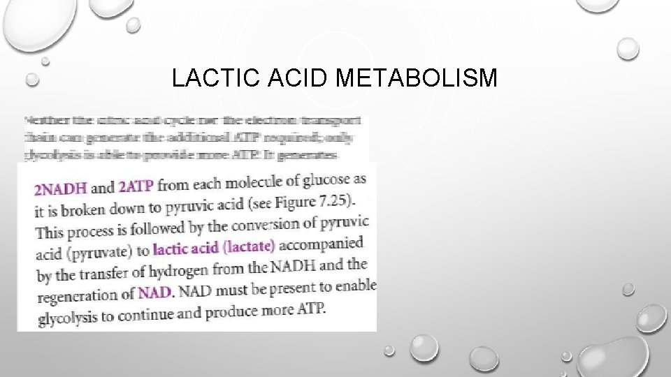 LACTIC ACID METABOLISM 