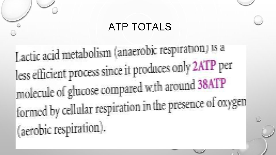 ATP TOTALS 