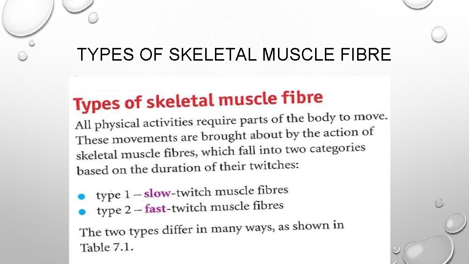 TYPES OF SKELETAL MUSCLE FIBRE 