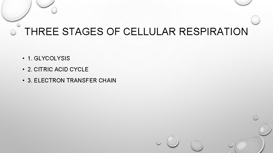 THREE STAGES OF CELLULAR RESPIRATION • 1. GLYCOLYSIS • 2. CITRIC ACID CYCLE •