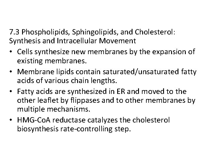7. 3 Phospholipids, Sphingolipids, and Cholesterol: Synthesis and Intracellular Movement • Cells synthesize new