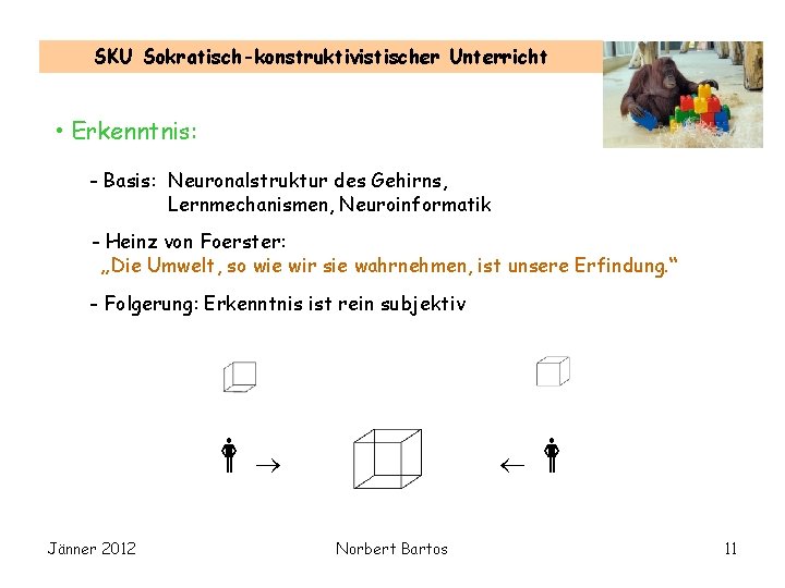 SKU Sokratisch-konstruktivistischer Unterricht • Erkenntnis: - Basis: Neuronalstruktur des Gehirns, Lernmechanismen, Neuroinformatik - Heinz