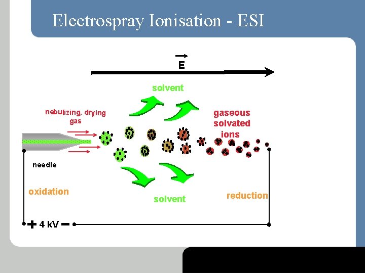 Electrospray Ionisation - ESI E solvent gaseous solvated ions nebulizing, drying gas needle oxidation