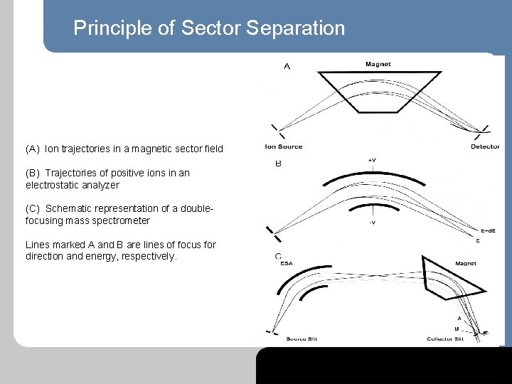 Principle of Sector Separation (A) Ion trajectories in a magnetic sector field (B) Trajectories