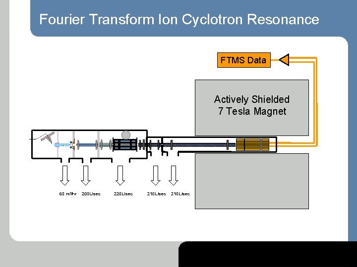 Fourier Transform Ion Cyclotron Resonance FTMS Data Actively Shielded 7 Tesla Magnet 60 m