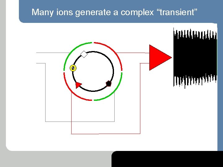 Many ions generate a complex “transient” 