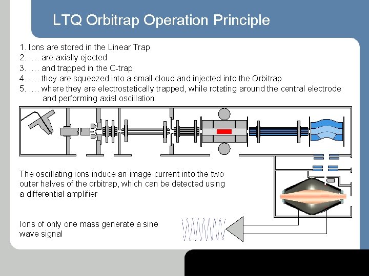 LTQ Orbitrap Operation Principle 1. Ions are stored in the Linear Trap 2. ….