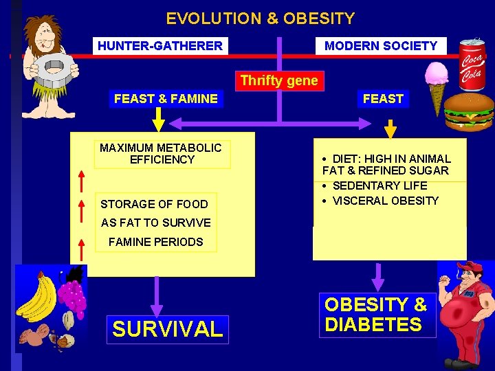 EVOLUTION & OBESITY HUNTER-GATHERER MODERN SOCIETY Thrifty gene FEAST & FAMINE MAXIMUM METABOLIC EFFICIENCY