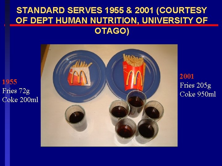 STANDARD SERVES 1955 & 2001 (COURTESY OF DEPT HUMAN NUTRITION, UNIVERSITY OF OTAGO) 1955