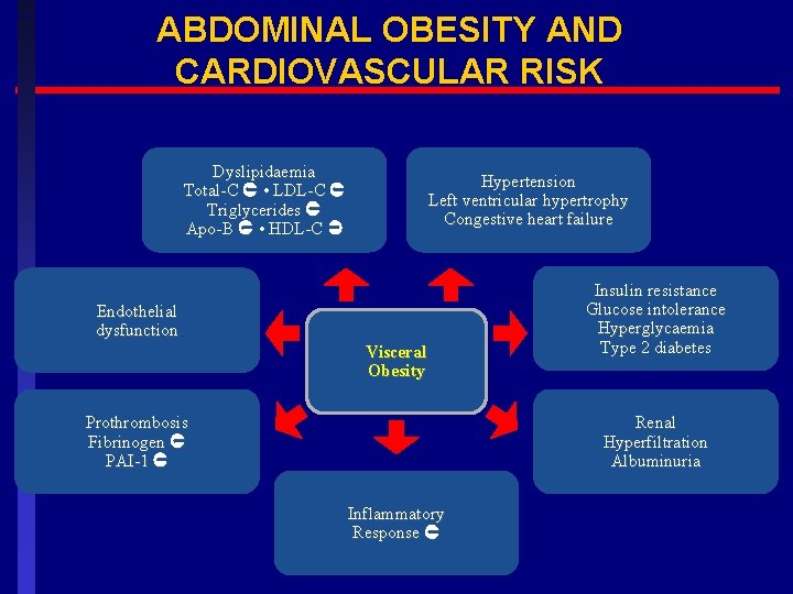 ABDOMINAL OBESITY AND CARDIOVASCULAR RISK Dyslipidaemia Total-C • LDL-C Triglycerides Apo-B • HDL-C Hypertension