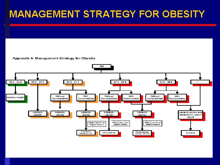 MANAGEMENT STRATEGY FOR OBESITY 