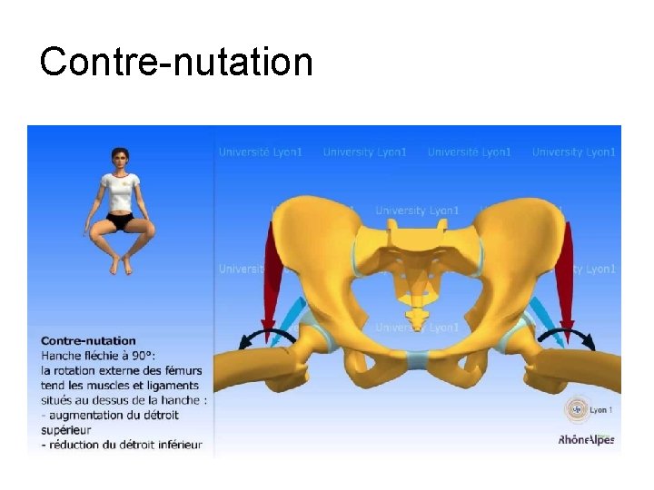 Contre-nutation 