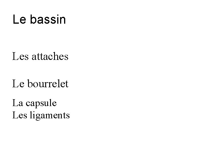 Le bassin Les attaches Le bourrelet La capsule Les ligaments 