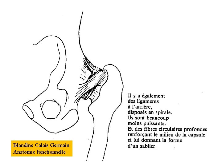 Blandine Calais Germain Anatomie fonctionnelle 