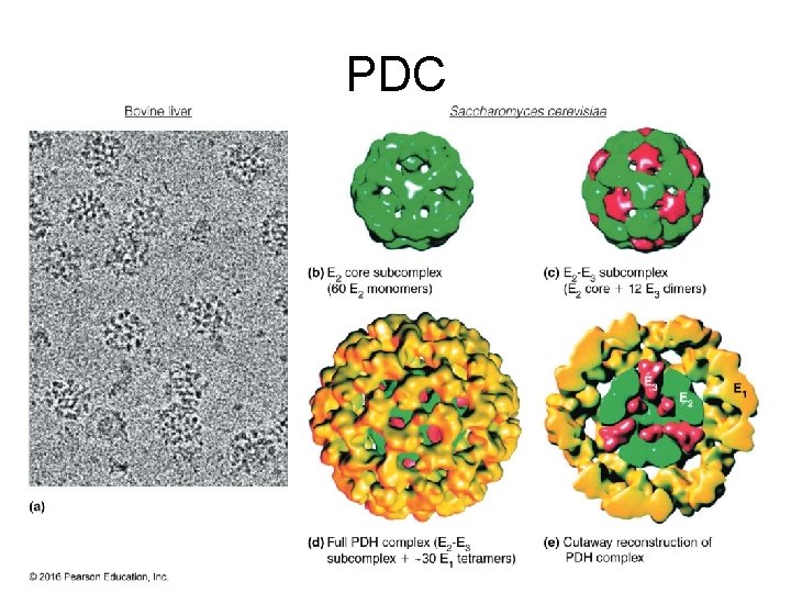 PDC 