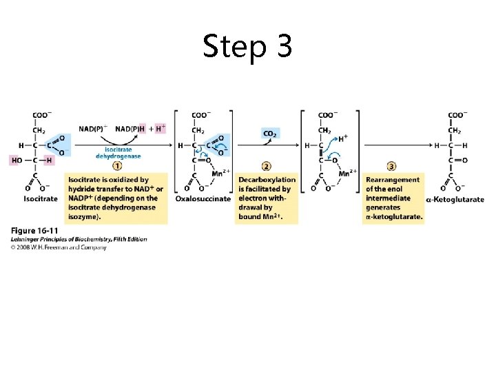 Step 3 