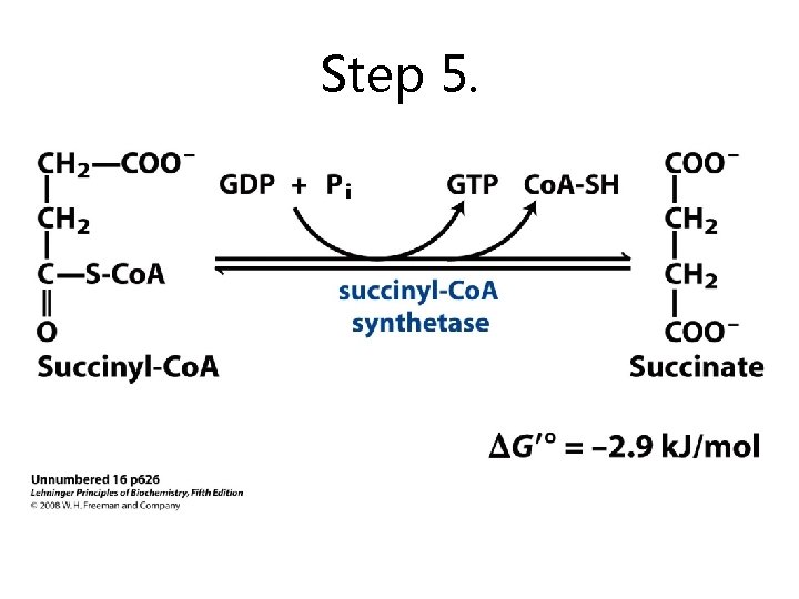 Step 5. 