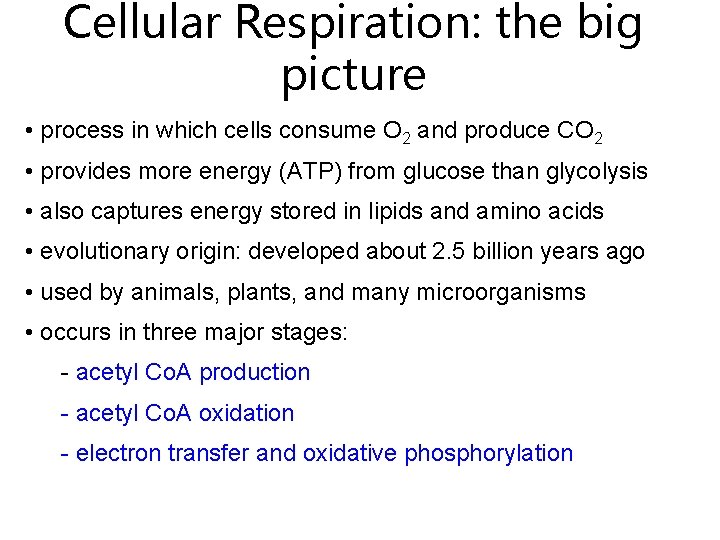 Cellular Respiration: the big picture • process in which cells consume O 2 and