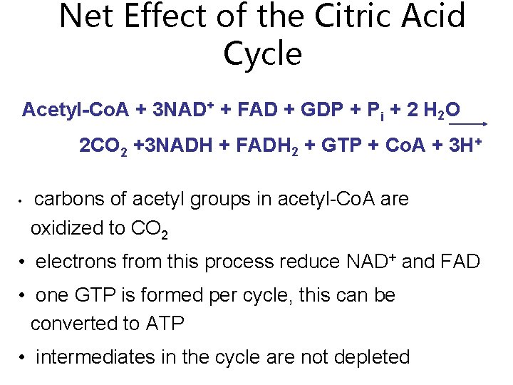 Net Effect of the Citric Acid Cycle Acetyl-Co. A + 3 NAD+ + FAD