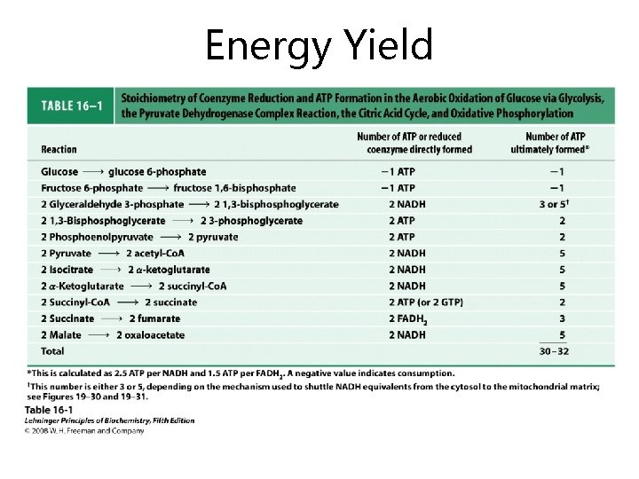 Energy Yield 