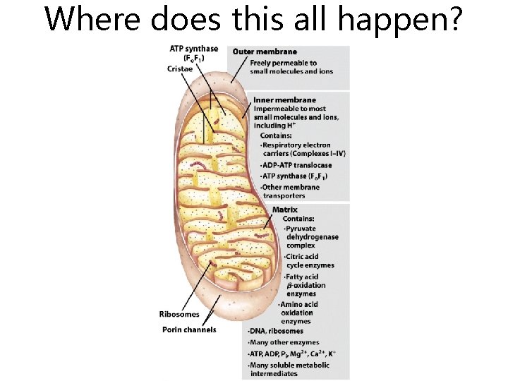 Where does this all happen? 