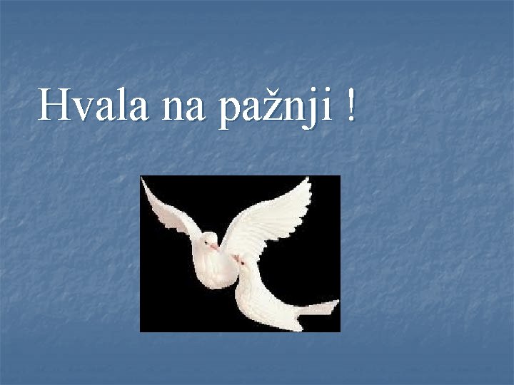 Hvala na pažnji ! 