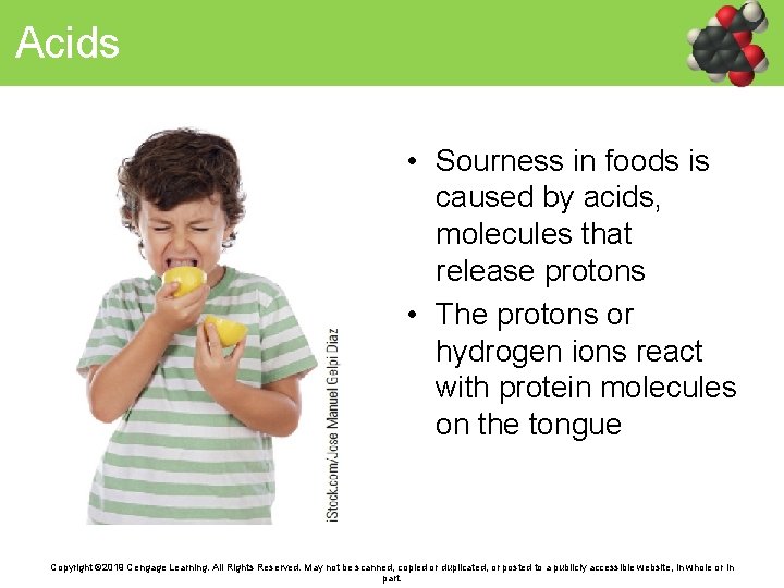 Acids • Sourness in foods is caused by acids, molecules that release protons •