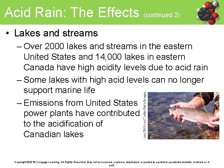 Acid Rain: The Effects (continued 2) • Lakes and streams – Over 2000 lakes