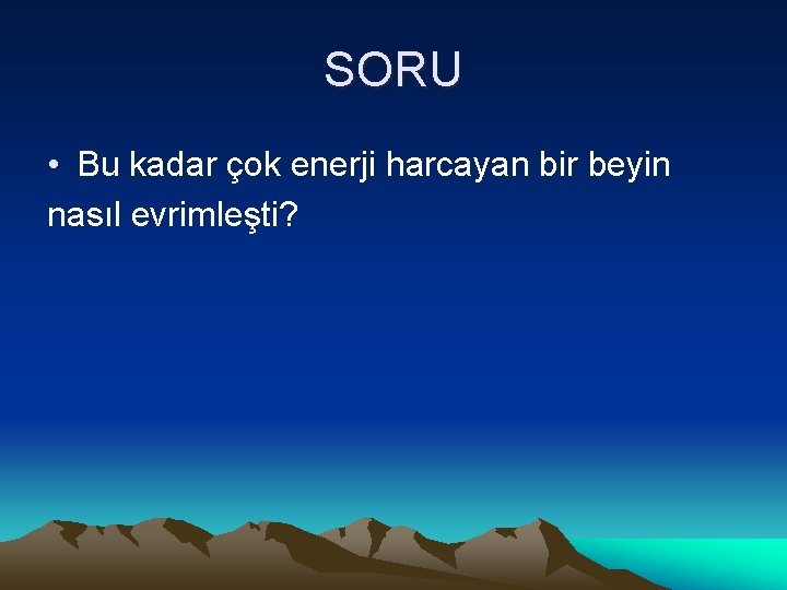 SORU • Bu kadar çok enerji harcayan bir beyin nasıl evrimleşti? 