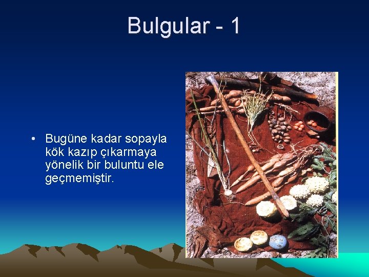 Bulgular - 1 • Bugüne kadar sopayla kök kazıp çıkarmaya yönelik bir buluntu ele