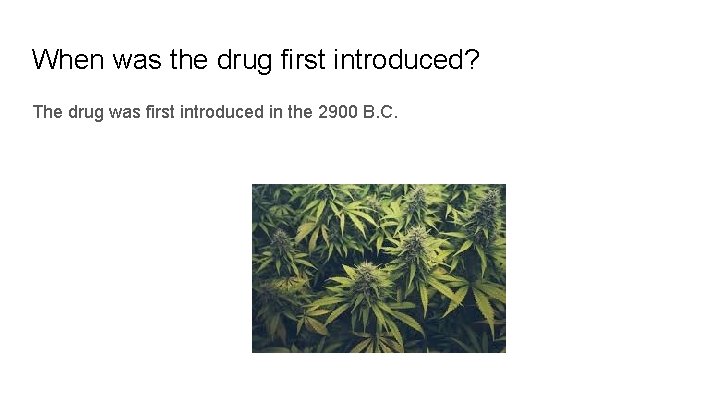 When was the drug first introduced? The drug was first introduced in the 2900