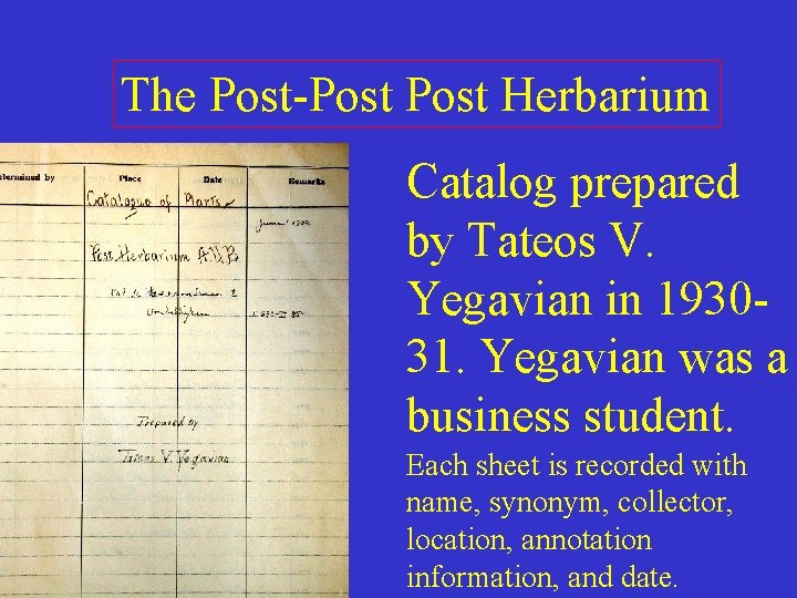 The Post-Post Herbarium Catalog prepared by Tateos V. Yegavian in 193031. Yegavian was a