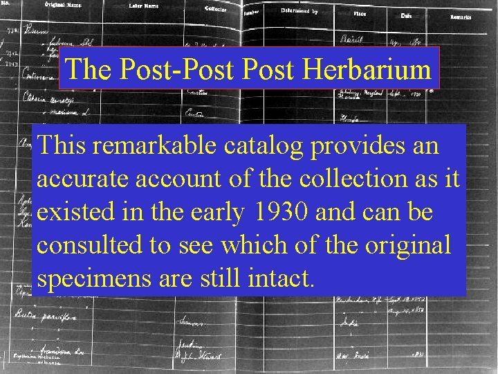 The Post-Post Herbarium This remarkable catalog provides an accurate account of the collection as