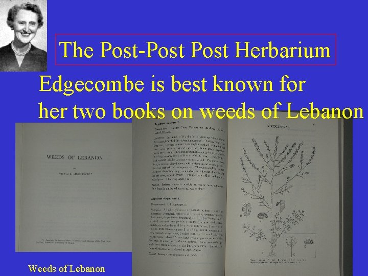 The Post-Post Herbarium Edgecombe is best known for her two books on weeds of