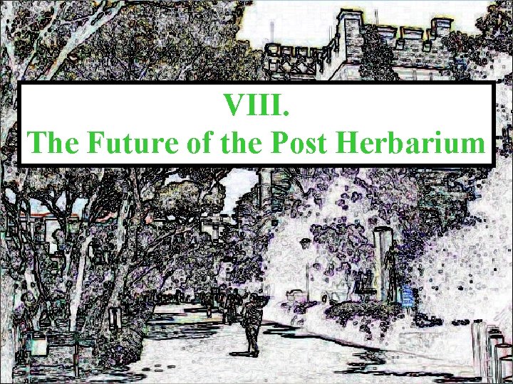 VIII. The Future of the Post Herbarium 