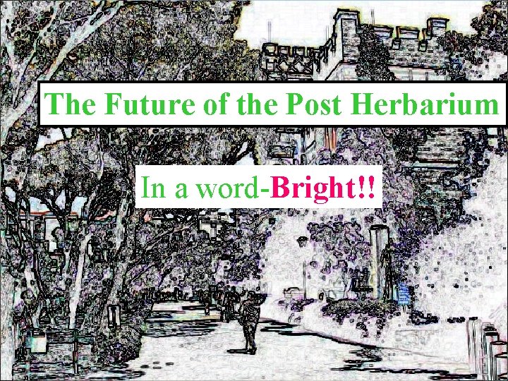 The Future of the Post Herbarium In a word-Bright!! 