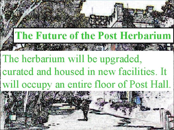 The Future of the Post Herbarium The herbarium will be upgraded, curated and housed