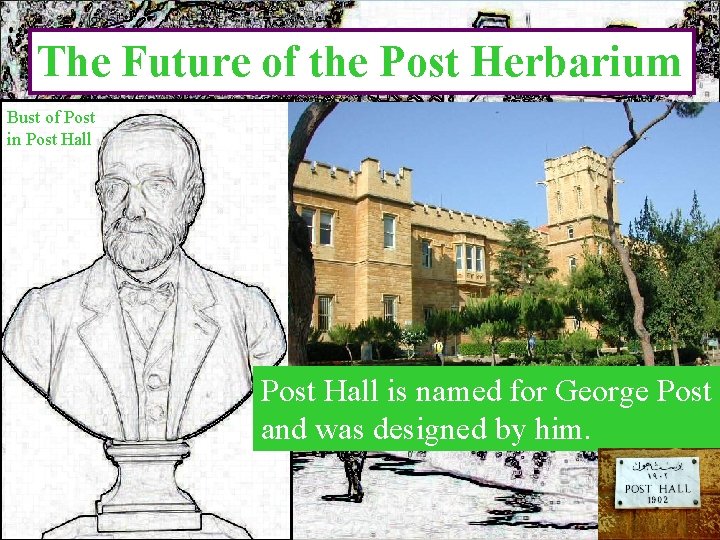 The Future of the Post Herbarium Bust of Post in Post Hall is named