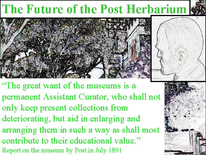 The Future of the Post Herbarium “The great want of the museums is a