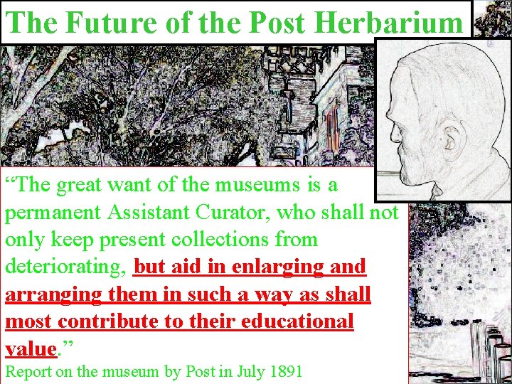 The Future of the Post Herbarium “The great want of the museums is a