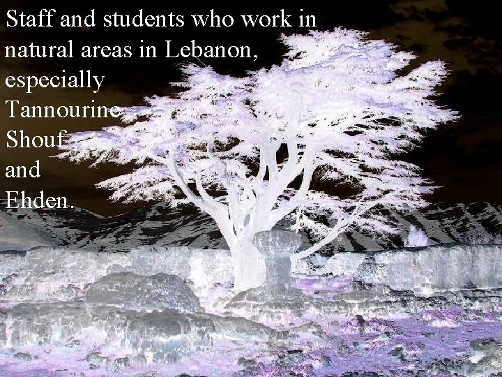 Staff and students who work in natural areas in Lebanon, especially Tannourine Shouf and