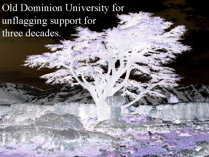 Old Dominion University for unflagging support for three decades. 