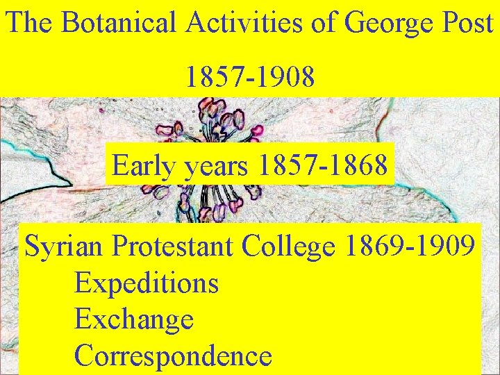 The Botanical Activities of George Post 1857 -1908 Early years 1857 -1868 Syrian Protestant