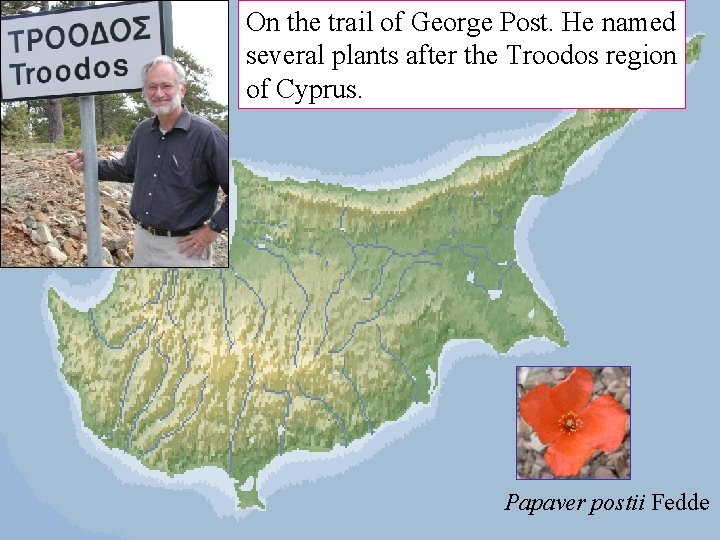 On the trail of George Post. He named several plants after the Troodos region