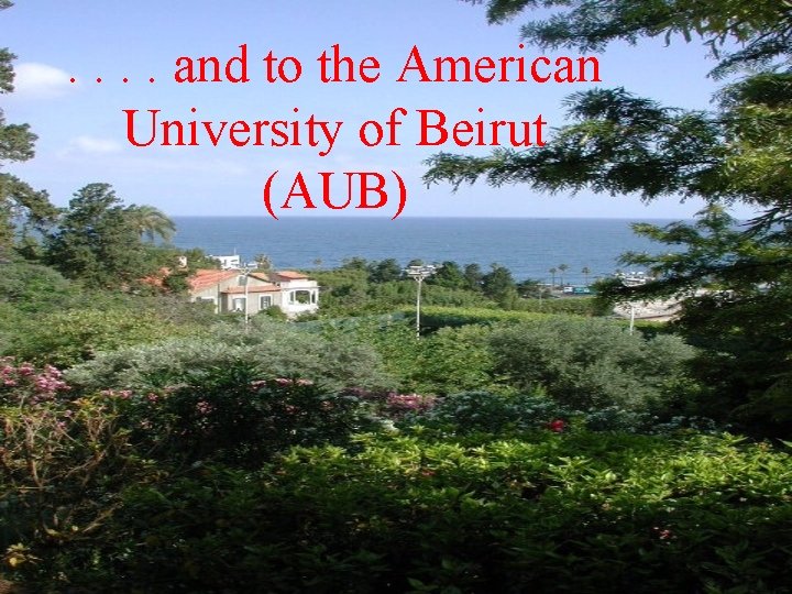 . . and to the American University of Beirut (AUB) 