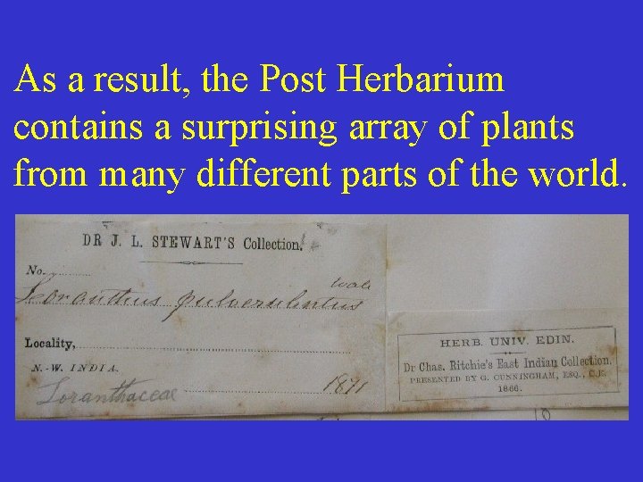 As a result, the Post Herbarium contains a surprising array of plants from many