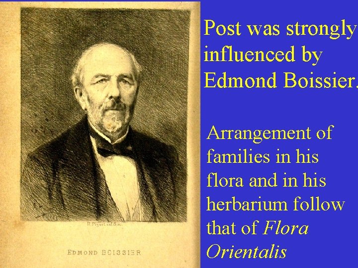 Post was strongly influenced by Edmond Boissier. Arrangement of families in his flora and