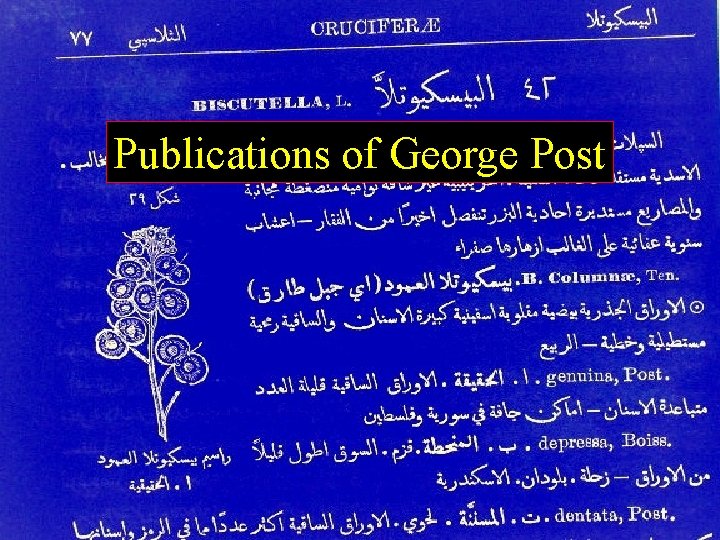 Publications of George Post 
